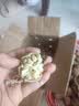 鲜级佳大凉山新鲜湿核桃去青皮嫩核桃老树薄纸皮核桃孕妇专用生核桃新货 3斤【去青皮】送夹子丨品质升级 实拍图