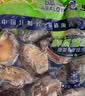 江船长冷冻鲍鱼 净重160g(10-15粒)袋装 火锅食材 海鲜生鲜 中秋聚餐 实拍图