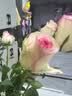 京东鲜花【AB级】艾莎粉玫瑰10枝（60cm+）鲜花束自营源头直发 实拍图