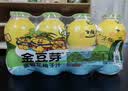 金豆芽儿童金银花柚子汁155ml*16瓶便携孩子饮料宝宝果汁西柚汁 实拍图