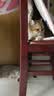 网易严选全价猫粮4.0 成幼猫无谷全阶段营养滋补猫粮 乳鸽乌鸡味1.5kg*4袋 实拍图