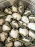 三象水磨糯米粉汤圆粉雪媚娘冰皮月饼糍粑原料500g泰国进口烘焙做甜品 实拍图