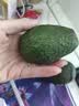 京地达云南牛油果新鲜水果鳄梨单果170g*6粒低卡京东自营生鲜源头直发 实拍图