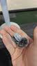 大疆 DJI Mic Mini 迷你无线高品音质 降噪领夹麦克风 【安卓+苹果151617】手机版 一发一收 实拍图