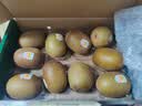 佳沛（zespri）新西兰金奇异果10个装单果重103-114g猕猴桃中秋节礼品送水果礼盒 实拍图