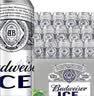 百威冰啤酒500ml*18罐整箱装【99%好评】京东自营中秋礼品 实拍图