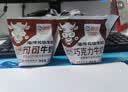 海河巧克力牛奶220ml*10袋整箱牛角包儿童学生早餐奶新鲜乳品饮料 实拍图