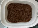 冠能猫粮幼猫猫粮3周-12月龄3.5kg 全价猫粮 添加牛初乳 增肥发腮 实拍图