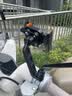 飞利浦（PHILIPS）电动车手机支架摩托车电瓶车导航固定器骑手专用2357后视镜防震款 实拍图