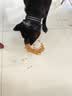 宝路狗粮 老年犬狗粮全价粮全犬种通用 牛肉味1.8kg*4 实拍图