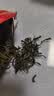 吴裕泰花茶花草茶 浓香型茉莉花茶叶茉莉香盈 六窨含芽180g中秋节茶礼 实拍图