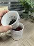 洁雅杰陶瓷杯带茶镉茶水分离水杯子450ml陶瓷茶杯陶瓷办公杯 礼盒款 实拍图