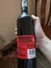 黄尾袋鼠（Yellow Tail）缤纷系列 加本力 半干型红葡萄酒  750ml*6瓶 智利进口 实拍图