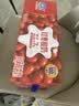 君乐宝红枣酸奶  150g*15袋 低温酸奶风味酸牛奶 酸奶整箱 京东自营 实拍图