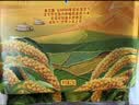十月稻田 有机赤峰小米 5斤 小米黄小米 有机认证 早餐粥 中秋送礼 实拍图