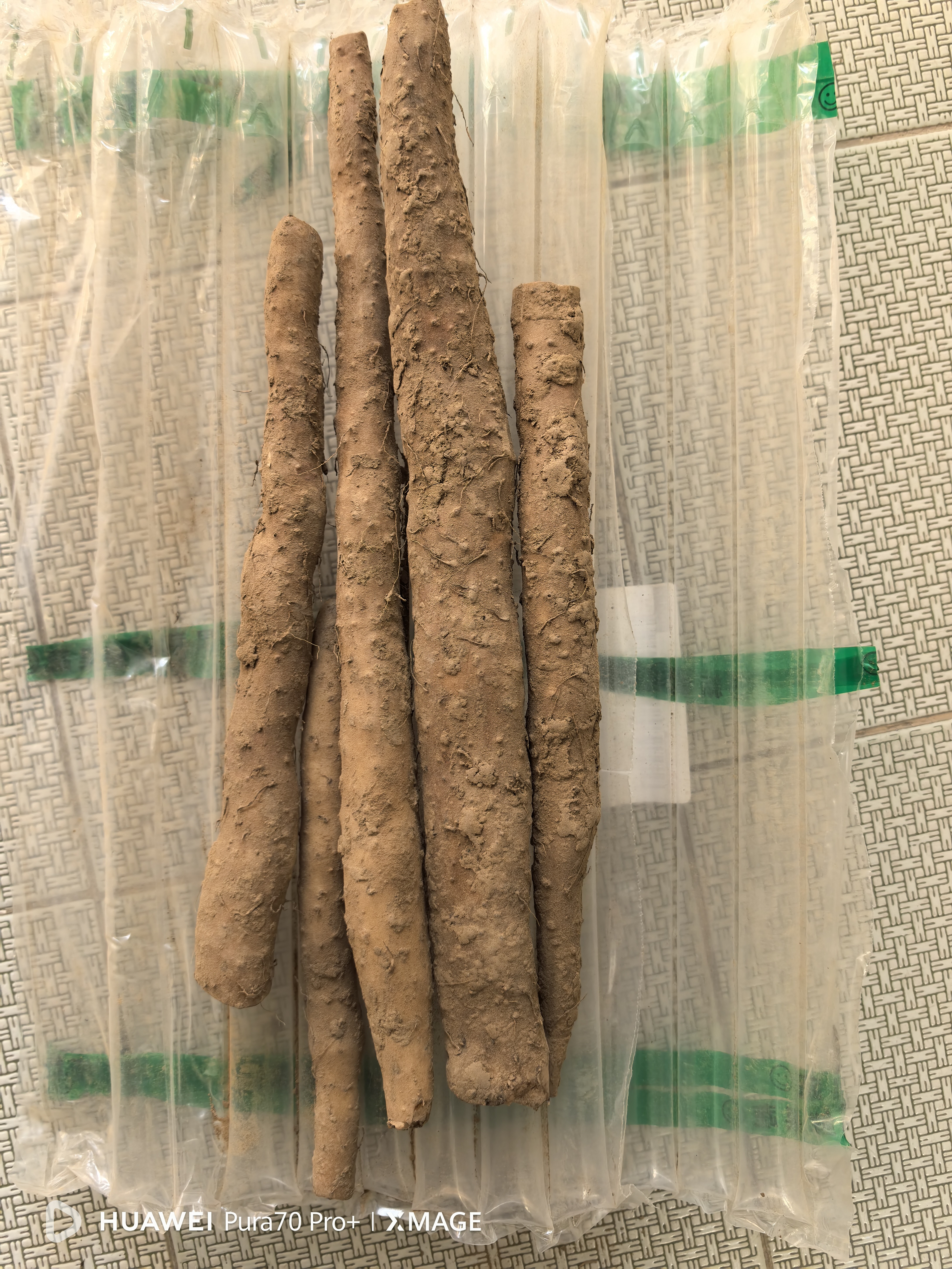 粉糯正宗铁棍山药淮山药无添加小白嘴正品垆土铁棍新鲜蔬菜 铁棍山药1斤带箱 （15cm-30cm） 实拍图