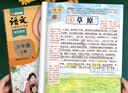 2026斗半匠课堂笔记六年级上册语文人教版黄冈学霸笔记教材全解小学六年级同步教材课前预习课后复习辅导书 开学季 实拍图