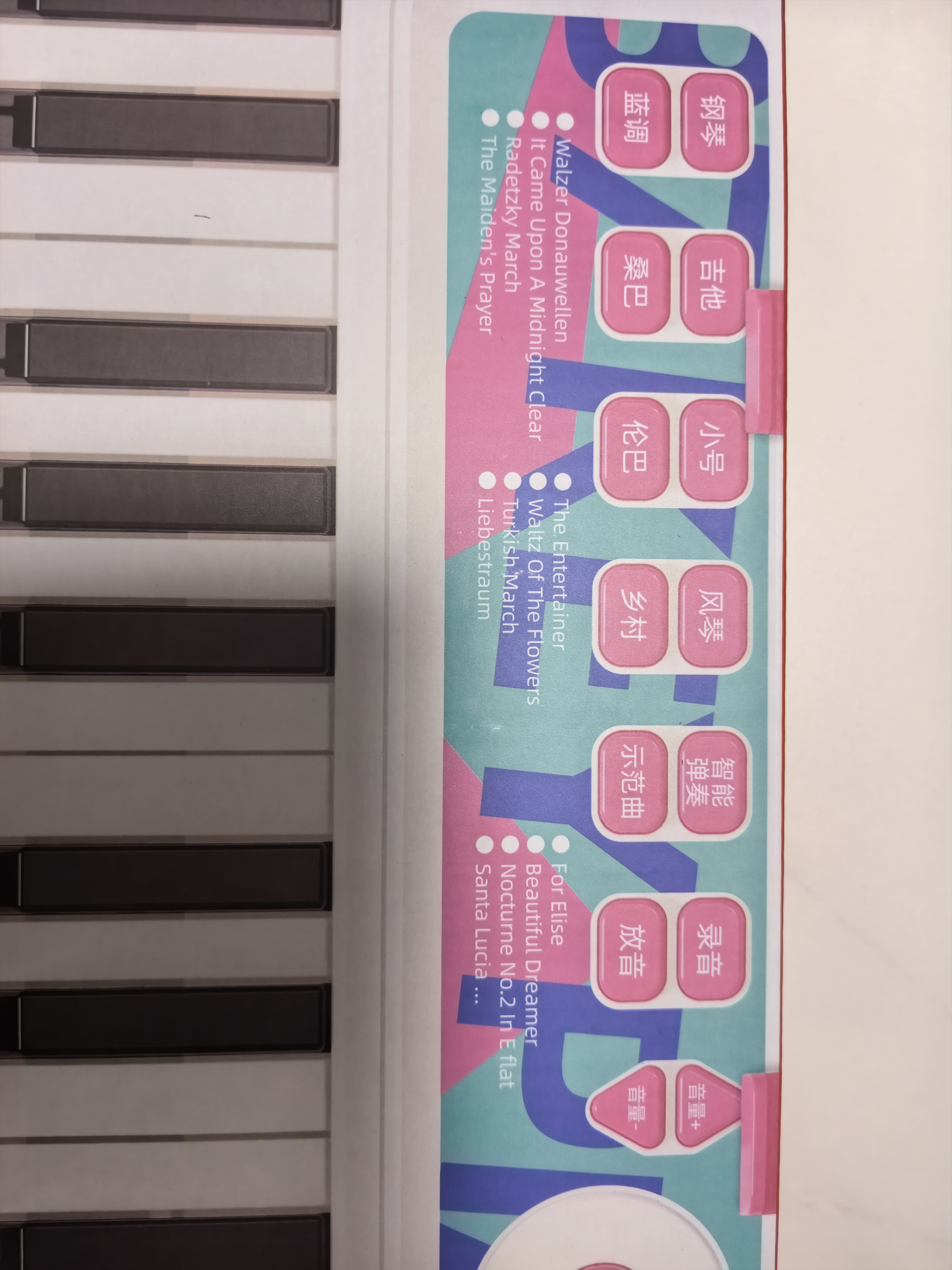 BAOLI宝丽电子琴多功能儿童钢琴可弹奏入门初学乐器宝宝玩具3-6岁礼物 实拍图