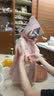 Kocotreekk树儿童雨衣宝宝男童女小学生小童雨披幼儿园雨具分体斗篷式 实拍图