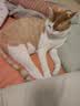 K9冻干鸡肉粒猫咪零食幼猫成猫通用猫犬高蛋白宠物零食500g 实拍图