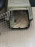 腆宠宠物航空箱大号 猫咪航空箱猫狗 猫包猫笼外出车载猫箱狗狗托运 实拍图