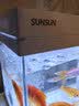 森森（SUNSUN）鱼缸过滤制氧一体机自循环客厅小型水族箱桌面懒人超白玻璃 250A标配+换水套餐（配过滤+LED灯） 实拍图