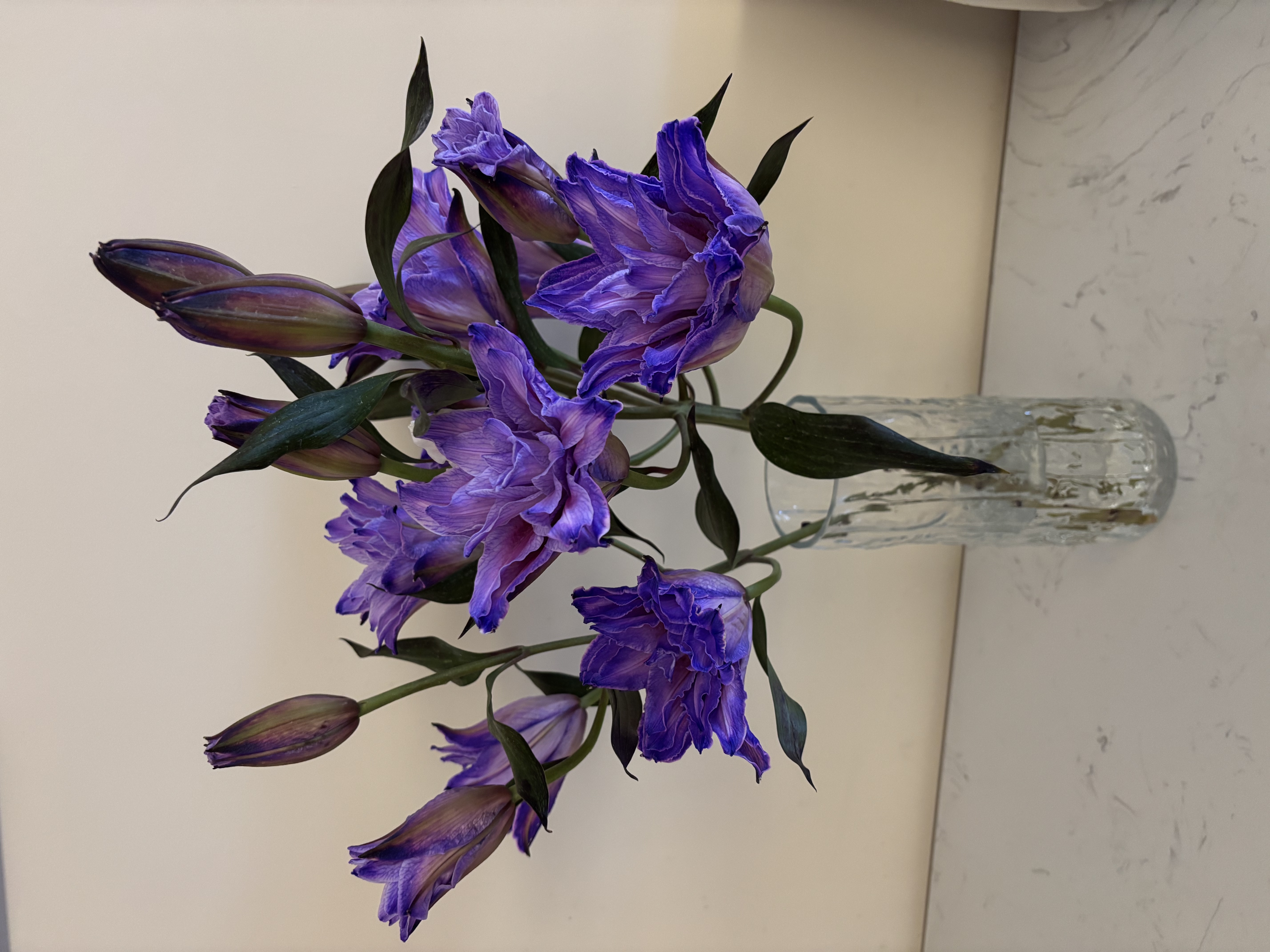 漫生活玻璃花瓶插花水养透明插花瓶百搭冰川纹水养轻奢水培植物摆件24cm 实拍图