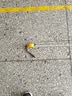 【爆品鱼竿】手竿超轻超硬鱼杆垂钓鲫鱼竿短节溪流竿特价鱼竿28调 4.5m （实际长度3.4米） 实拍图