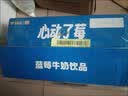 风行蓝莓风味牛奶饮品 200ml*12盒 牛奶礼盒装 送礼佳品 实拍图
