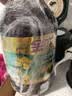 金龙鱼食用油【保真菜籽油】非转基因压榨低芥酸菜籽油6.18L 实拍图