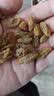 百草味无核绿葡萄干430g罐装新疆吐鲁番特产原料免洗一级大果干零食蜜饯 实拍图