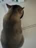 冠能猫粮室内成猫猫粮2.5kg 全价猫粮 添加膳食纤维 控制毛球 实拍图