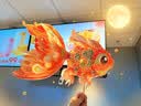 新玥灯笼中秋节手持花灯拍照道具非遗锦鲤灯笼手工diy金鱼灯手举花灯 实拍图