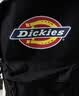 Dickies背包双肩包男士DK大容量旅行包休闲背包初高中学生开学校园书包 实拍图