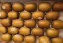 佳沛（zespri）金奇异果25-27粒原箱特大果124-146g猕猴桃中秋节礼品送水果礼盒 实拍图