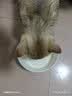 新宠之康 宠物羊奶粉400g狗狗猫咪成幼犬猫泰迪金毛羊奶粉营养补充 实拍图