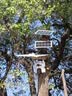霸天安4g太阳能室外摄像头监控器360度无死角带夜视全景终身免流量无需连wifi免插电农村高清监控 实拍图