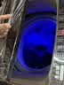 志高（CHIGO）全自动洗衣机 家用小型波轮 洗脱一体机大容量 公寓宿舍出租房 咖啡金 波轮 10kg 【蓝光洗护+风干洁桶+强电机】 实拍图