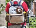UEK书包大自然百变包户外儿童背包幼儿园双肩包1-3-6年级书包 大自然百变包-熊抱抱小号(含零钱包) 实拍图