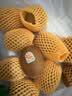 佳沛（zespri）新西兰金奇异果8粒特大果124-146g猕猴桃中秋节礼品送水果礼盒 实拍图