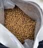皇家猫粮 绝育成猫粮 SA37通用粮1-7岁4.5KG 实拍图