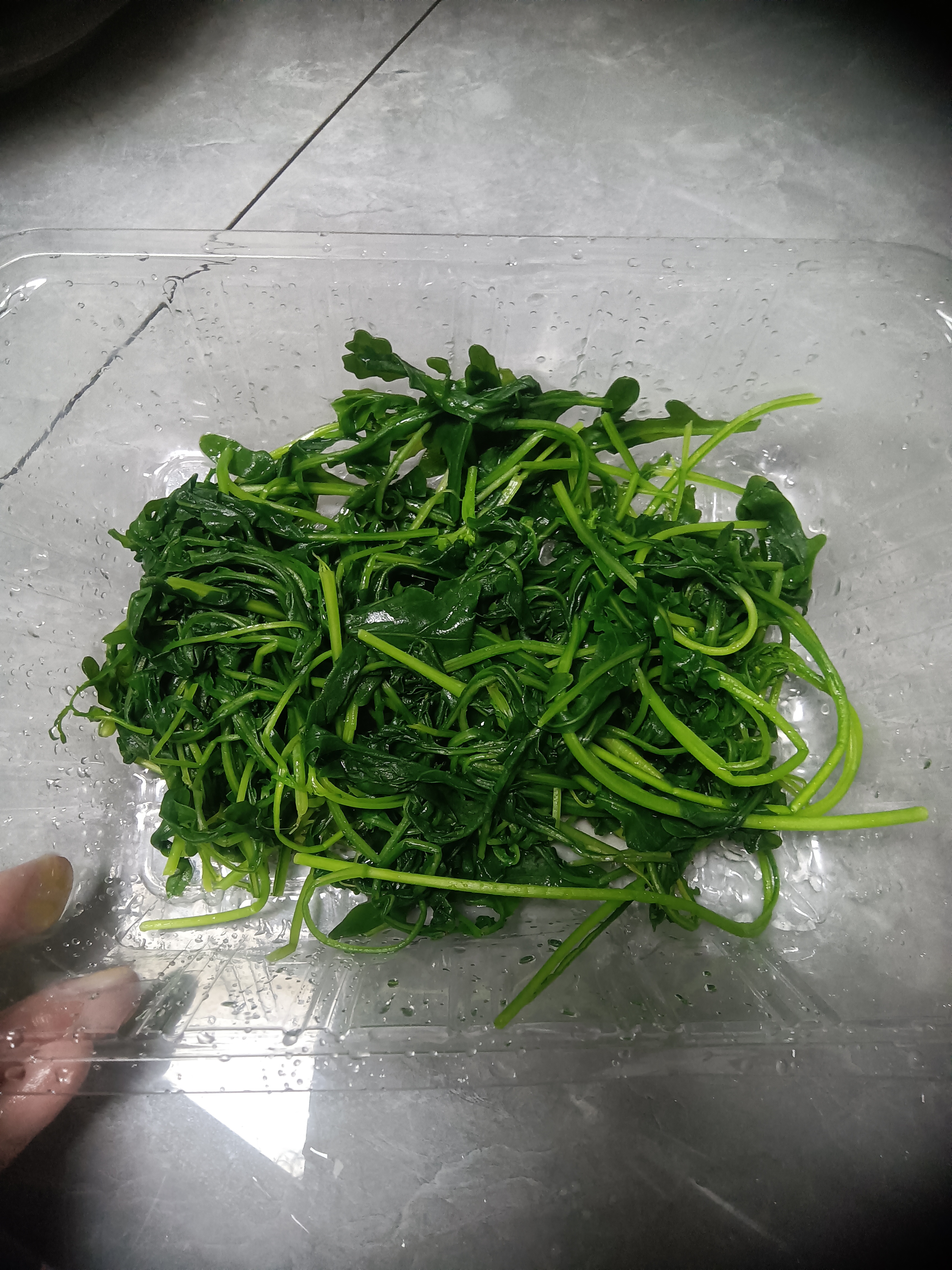 【水果菜】芝麻菜150g 实拍图