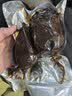 华佰农 襄阳酱香大头菜500g 芥菜疙瘩榨菜酱腌菜狮子头咸菜丝下饭菜玫瑰 实拍图