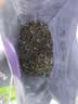 吴裕泰金奖银毫茉莉花茶口粮茶特种新茶散装老北京老字号小叶花茶 金奖银毫 250g/袋 实拍图