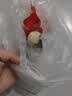 即食13天活珠子五香味香辣钢化蛋鸡胚蛋喜蛋批发原味麻辣新鲜真空 40g*20枚装 五香味 实拍图
