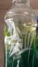 农夫山泉尖叫电解质水功能运动饮料纤维型柠檬味550ml*15瓶整箱装饮品 实拍图
