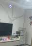 回旋球ufo智能感应飞行球悬浮回旋镖飞球飞盘男孩生日礼物儿童 【基础款】蓝色回旋球 实拍图