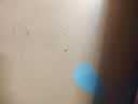 小米（MI）REDMI Watch 5 典雅黑心率血氧监测 蓝牙通话红米手表5 24天超长续航智能手表男女 实拍图