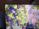 泰坦军团 31.5英寸2304分区 MiniLED 4K 160Hz双模320Hz HDR1000 DyDs0.5ms消除拖影 电竞显示器P326MV MAX 实拍图