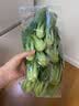 上海青约500g(油菜) 实拍图